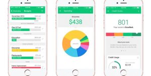 plicații de gestionare a bugetului